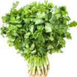 Coriander (धनिया ) - Image 2