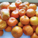 Orange(सुन्तला) - Image 2