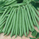 French Beans(घिउ सिमि) - Image 2