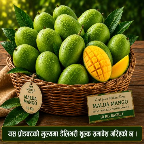 full-1782475667.jpg 1. Malda Mango 10kg Basket (Ozone Wash-ओजोन वाश प्रविधिबाट बिषादी न्यूनीकरण गरिएको) - Image 1